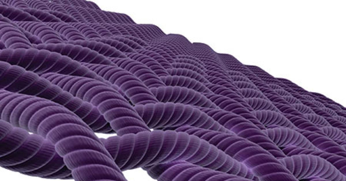 000021141748 microfiber web