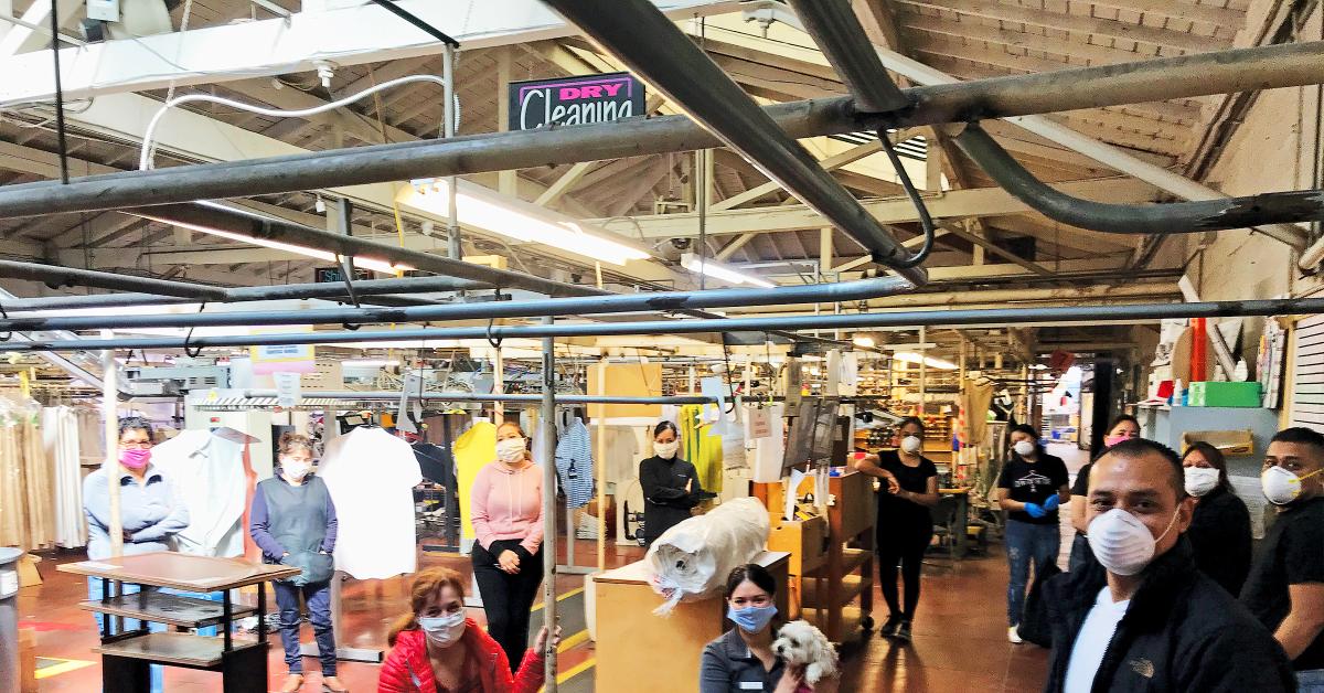 Understanding Employment Law