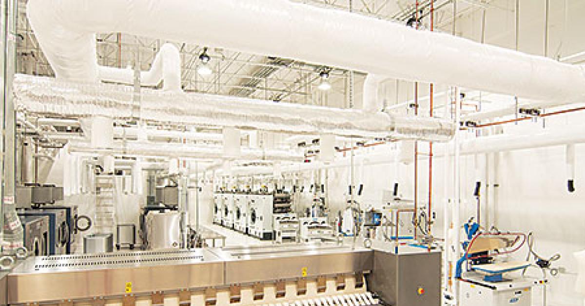 bb plant overview web