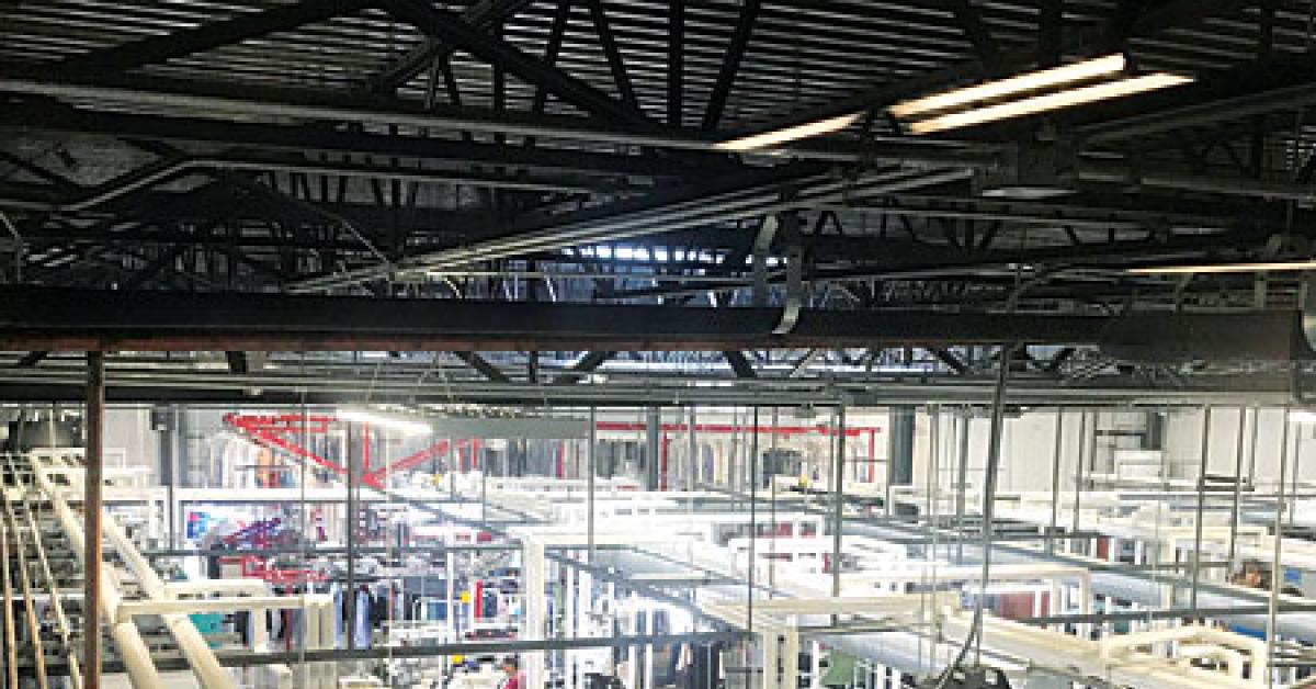 brothers cleaners overhead big plant shot img 1792 web