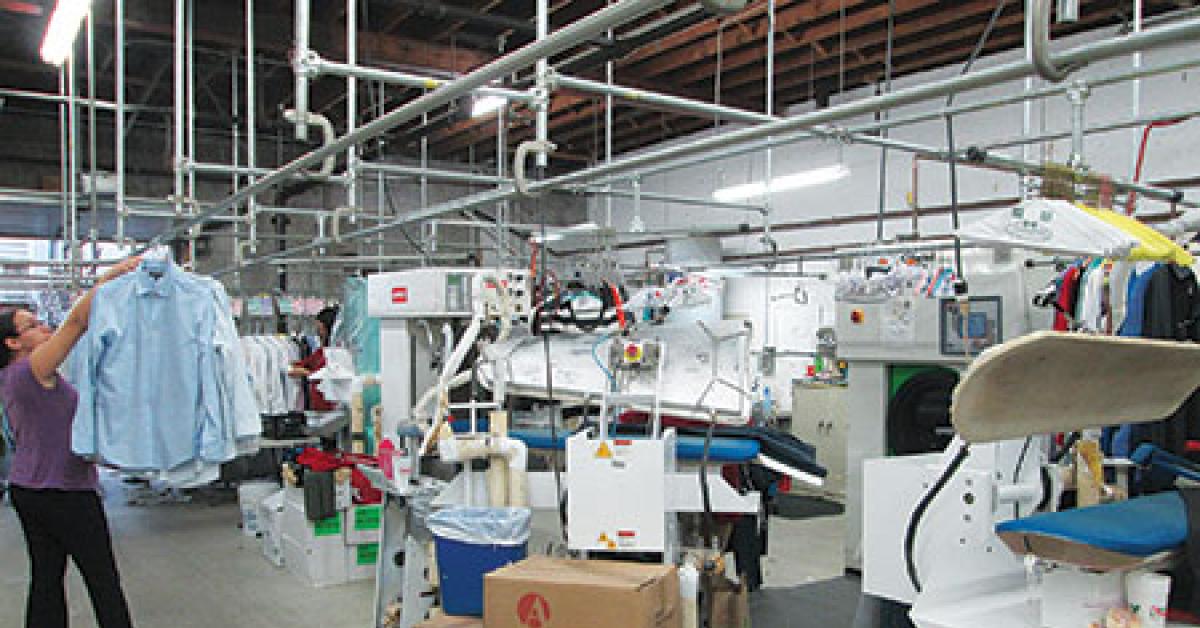 busy plant 1 img 0338 web