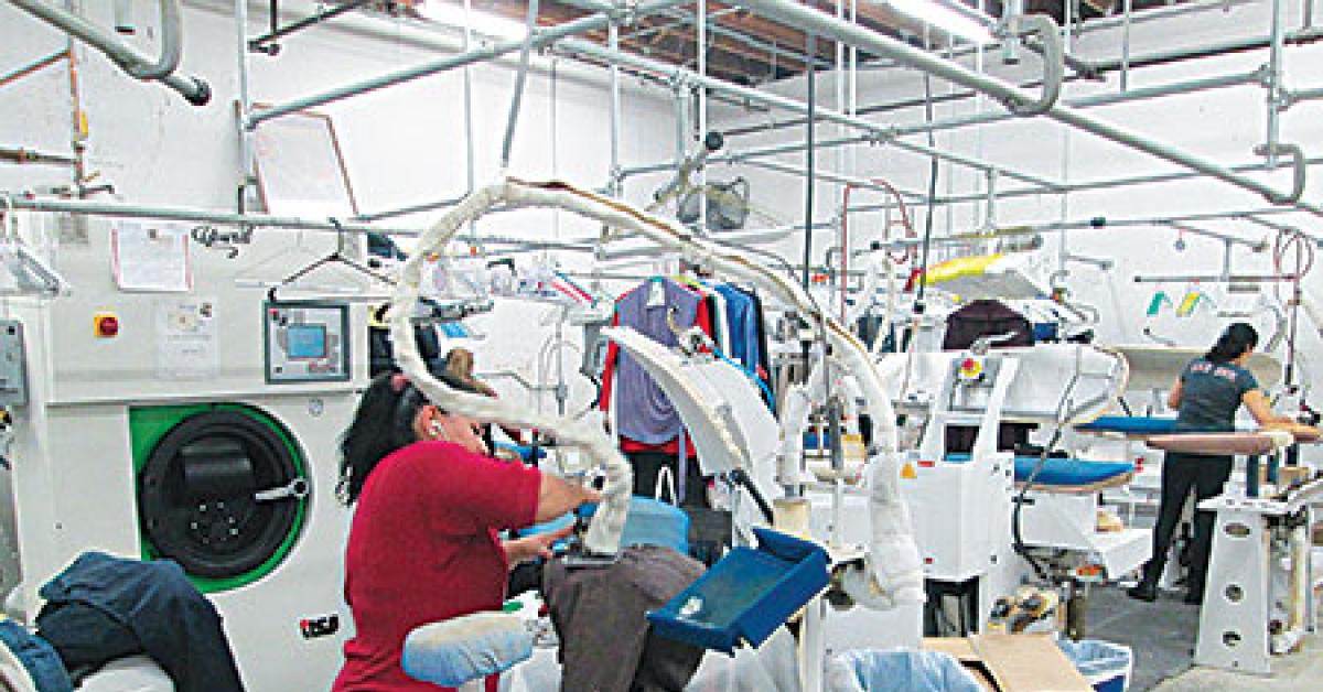 busy plant 2 img 0340 web