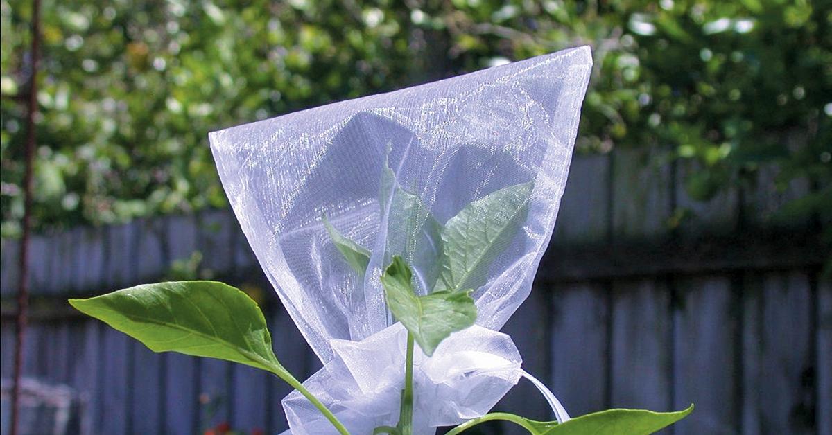 Yarns Spun Here: “Organza Bag!” I Think They Hollered