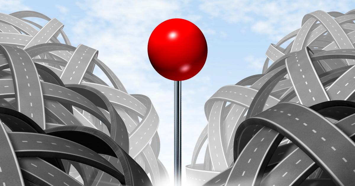 Spotting Tips: Become the Destination