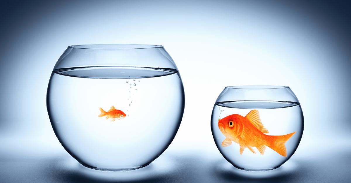 Is Your Drycleaning Business the Correct Size?