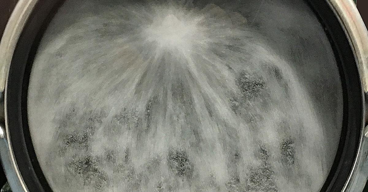 fabricare 2016 water spray in drum web