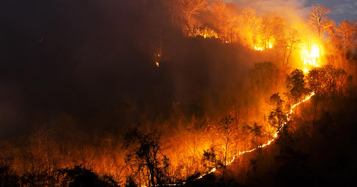 LA Wildfires to Leave Lasting Impact