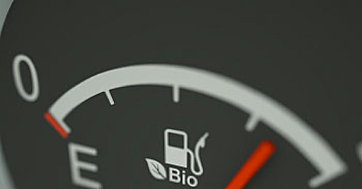 Biofuel meter image