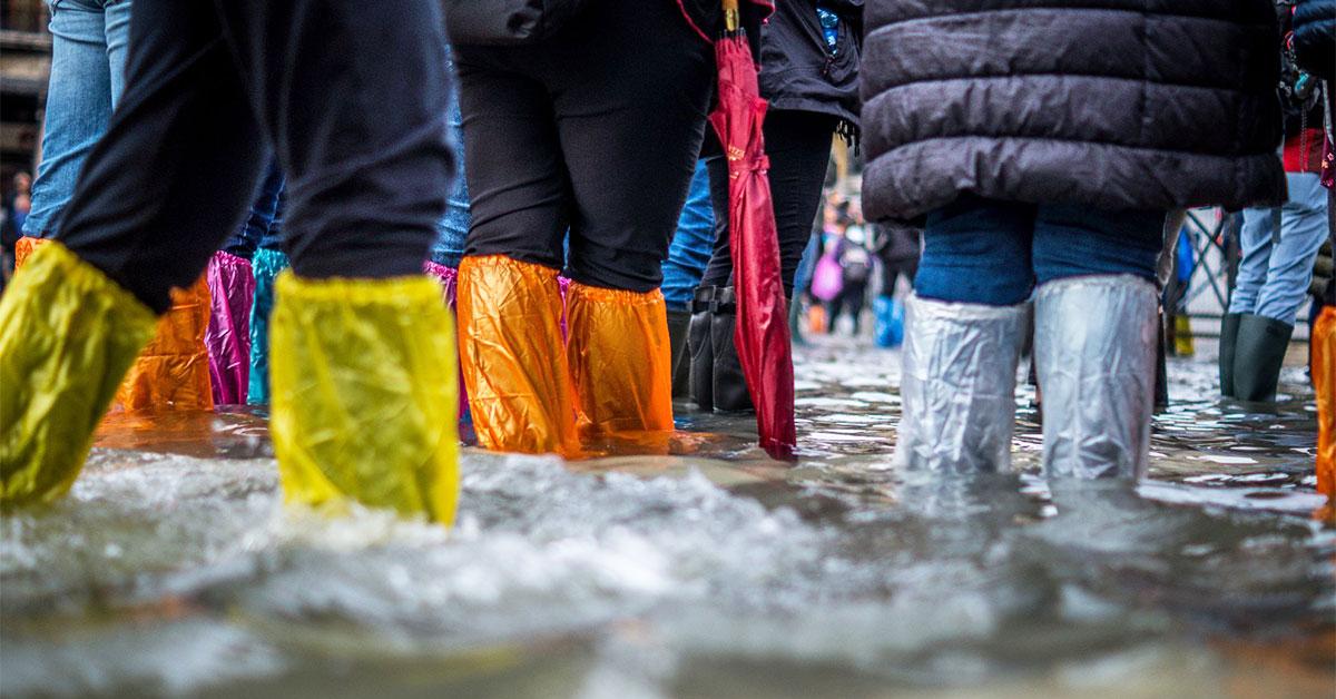 lapels clothing restoration image web