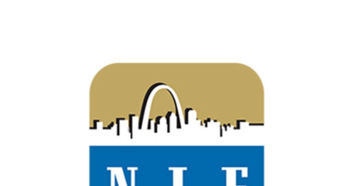 nie logo web