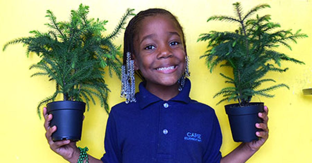 oxxo communities bloom cute little girl with plants image2 web