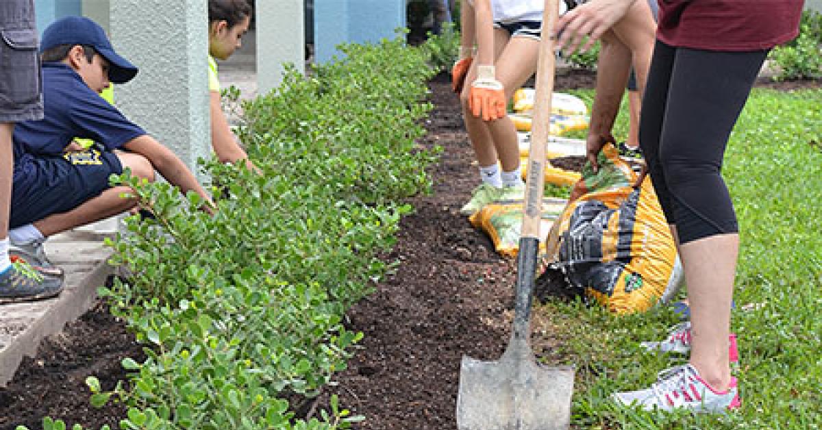 oxxo communities bloom kids digging planting image9 web