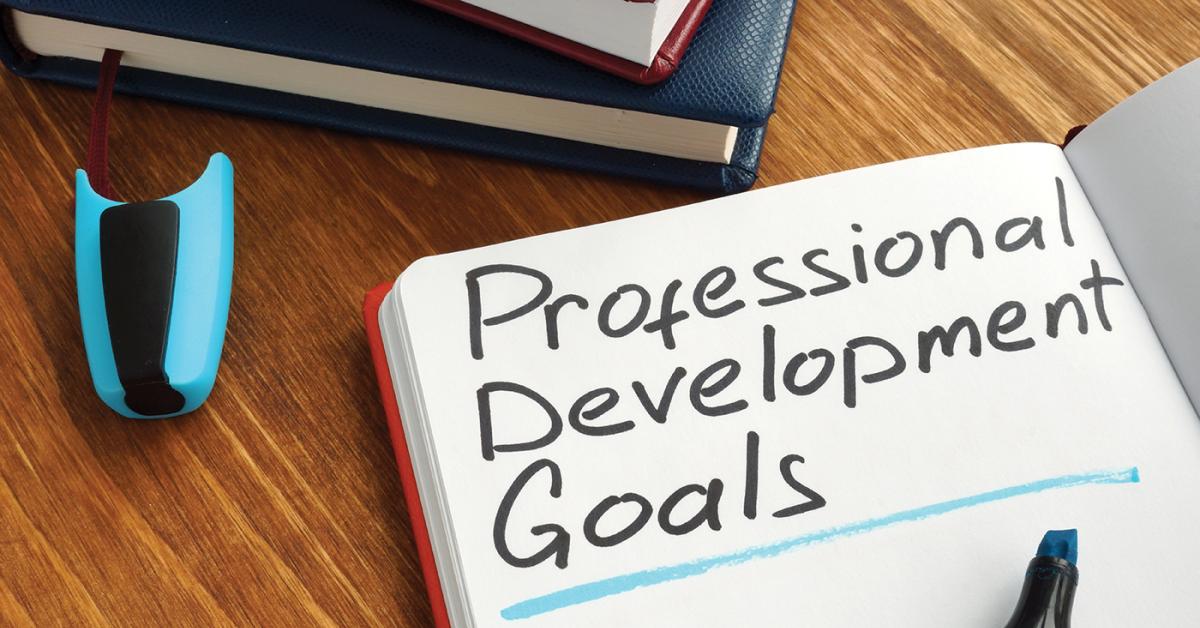 Professional Development for the Owner