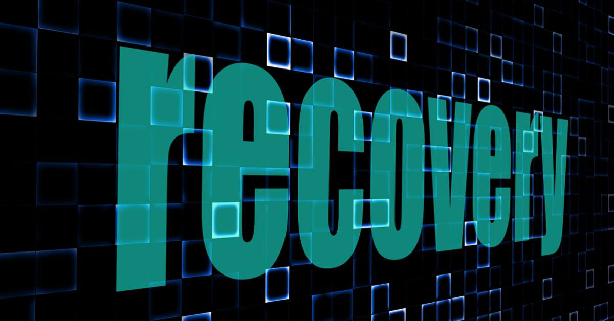 Recovering From and Avoiding Disaster