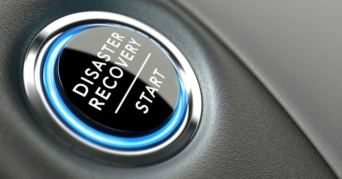 Recovering From and Avoiding Disaster