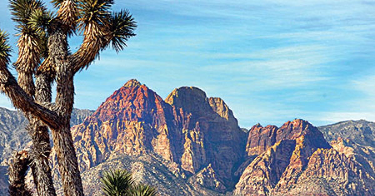 red rocks canyon deriv web