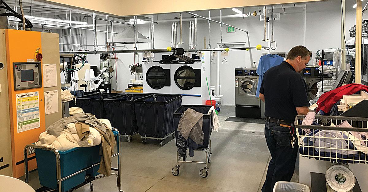 rocket plant img 1865 web