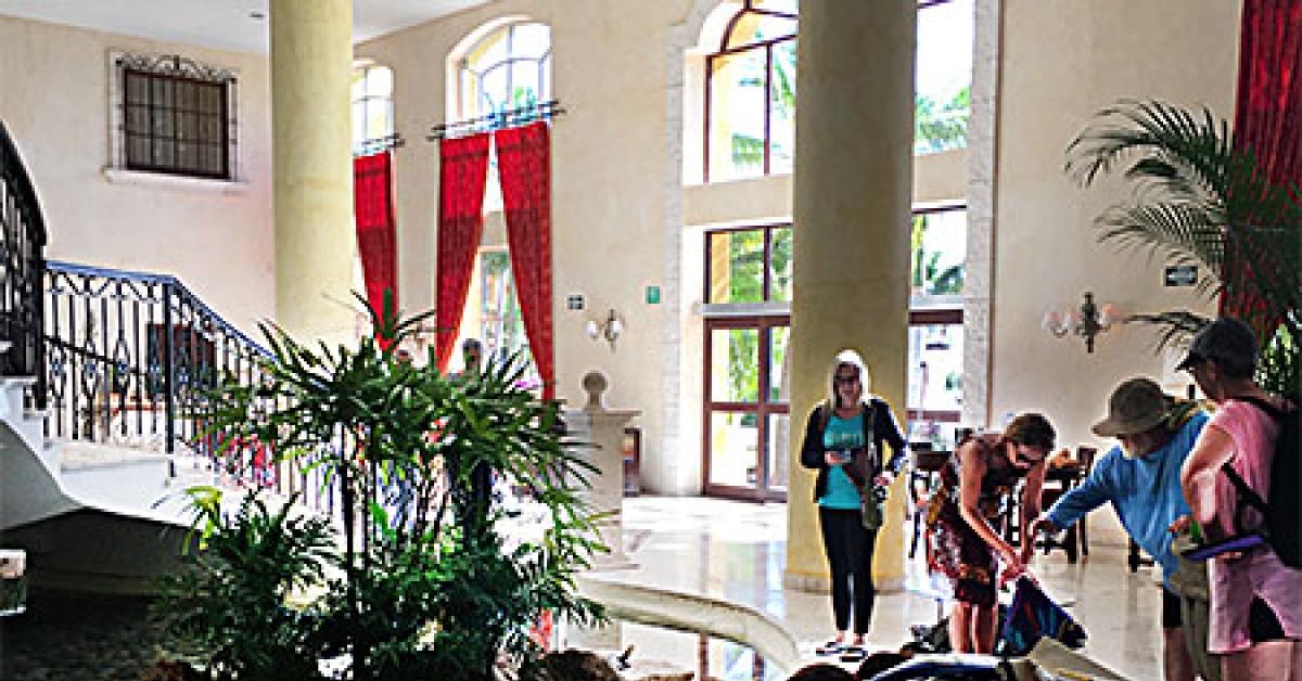 secrets feeding turtles 2018 web