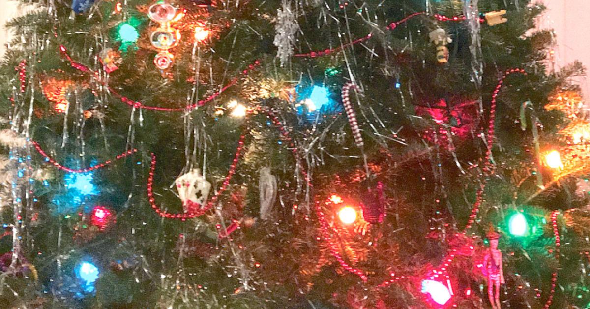 tims christmas tree shot img 3912 web