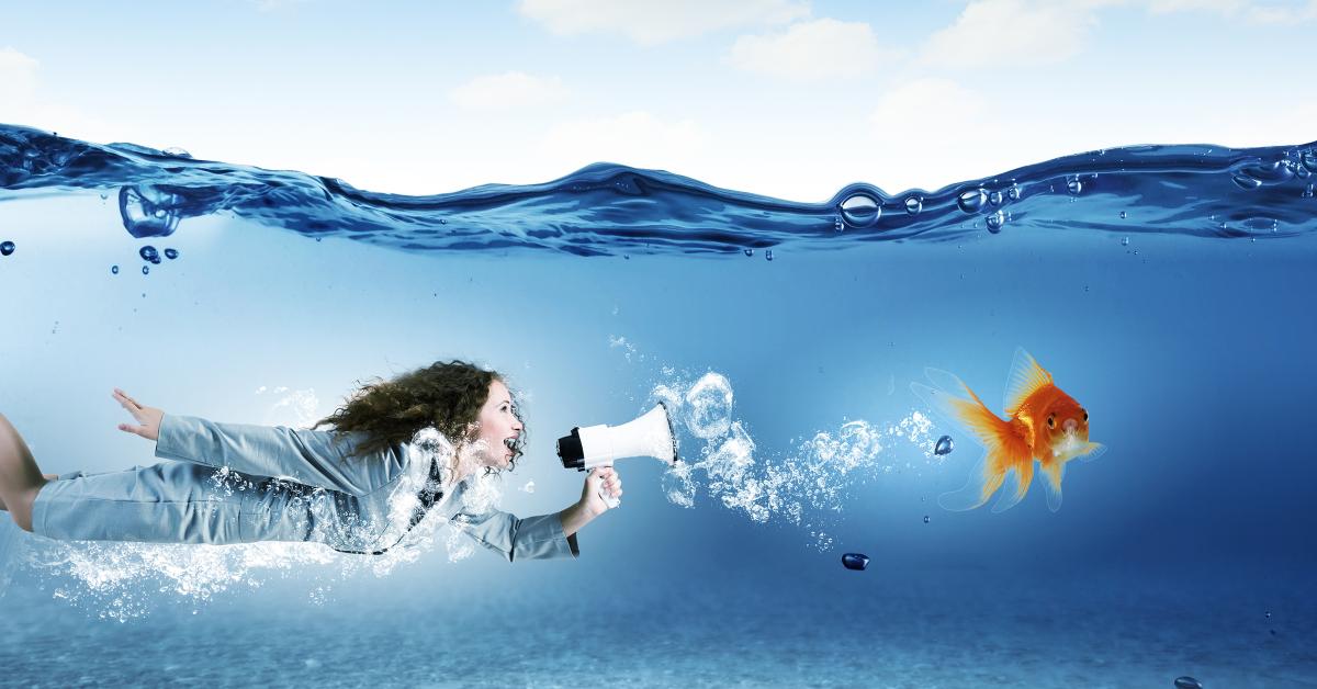 wet side story spotting tips