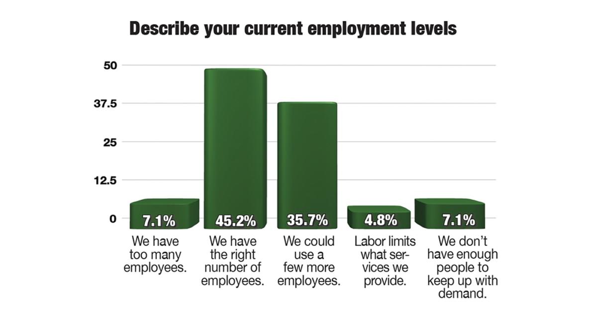 Working On or In Your Business