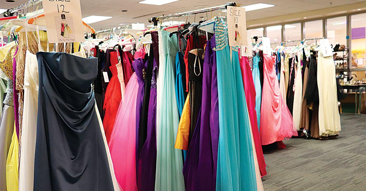 zengeler 2019 collection efforts web