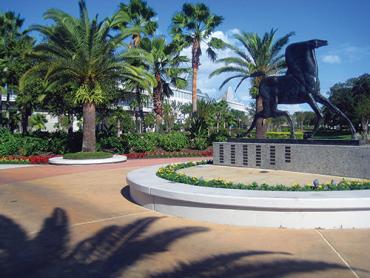Orlando Clean OCCC Horse Art