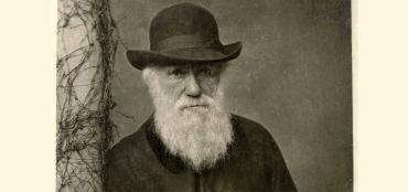 charles darwin portrait standing photo 1881 web