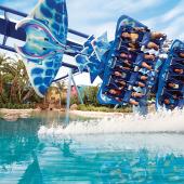 Clean Show Guide to Orlando 2025